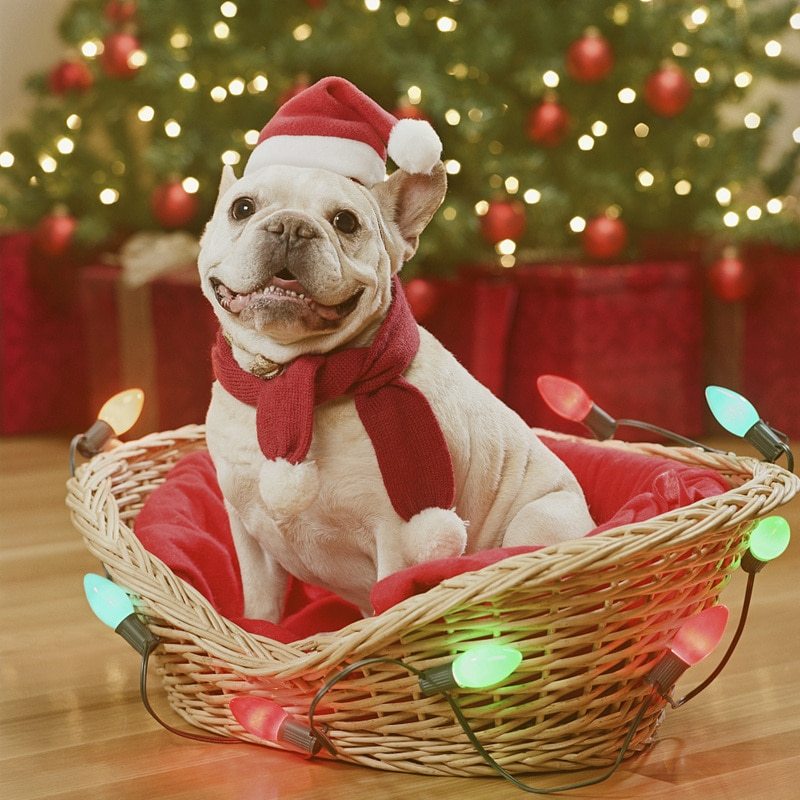 Pet Christmas Decoration Hat
