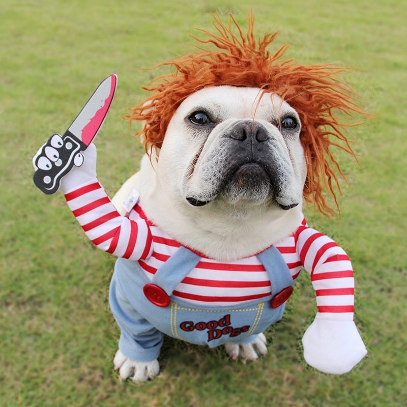 Disfraz de Halloween para mascotas / Ropa Divertida para Perros Ajustable.
