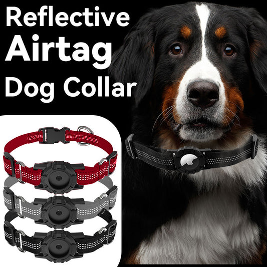 Collar Antipérdida con AirTag para Perros