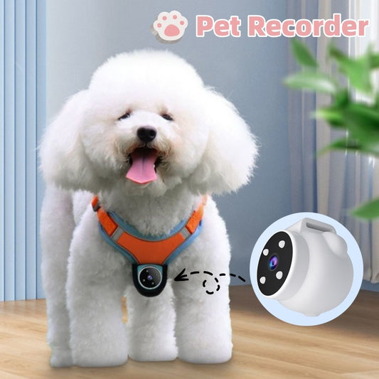 Grabadora de Mascotas, Collar Rastreador para Perros y Gatos /  Cámara Deportiva / Ángulo de Visión y Grabación de Movimiento